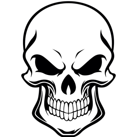 Skull1