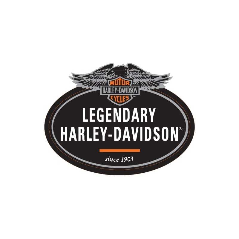 Harley Davidson16