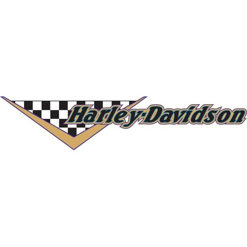 Harley Davidson25