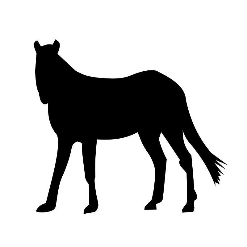 Pferd